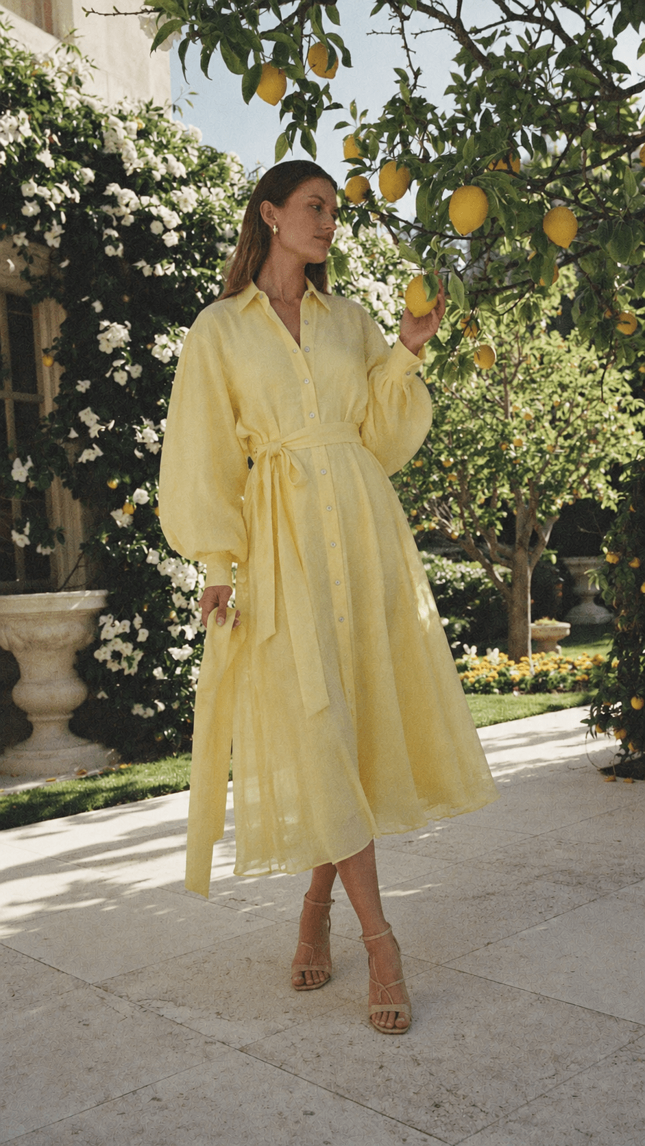 Lemon Garden Midi Dress - GorgeousGul